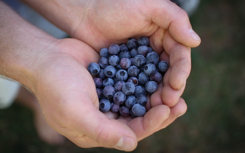 jumble berry pie blueberries
