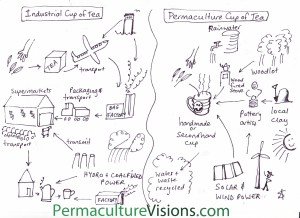 permaculture cup of tea
