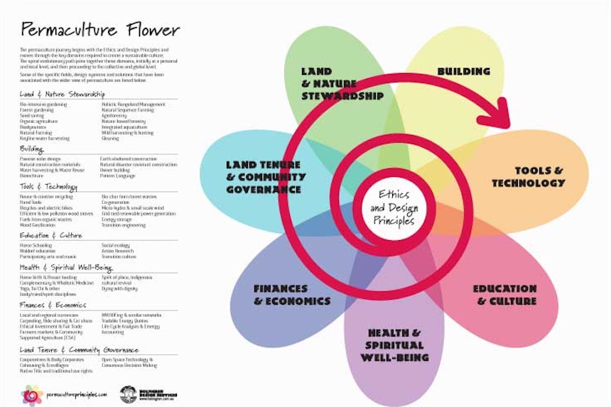 permaculture flower