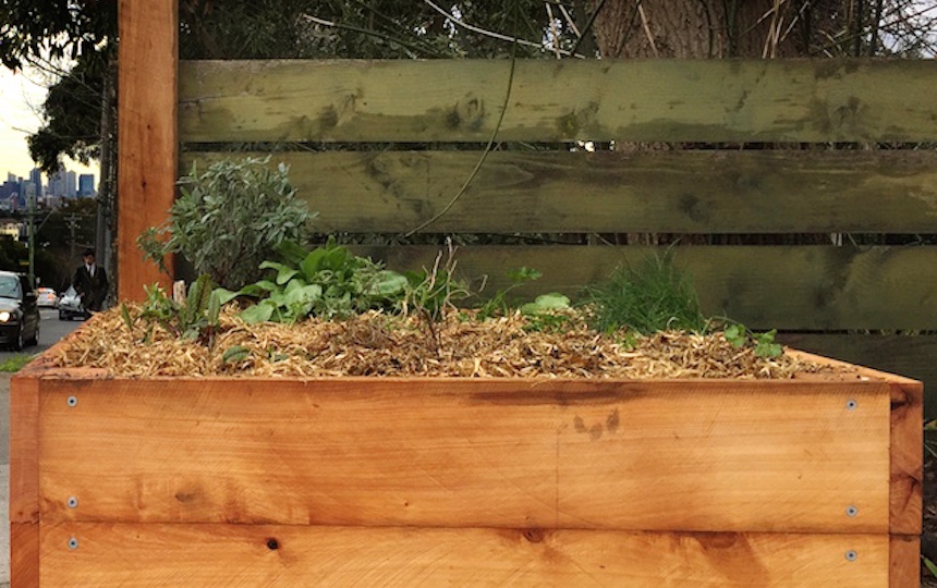 How to make a wicking bed