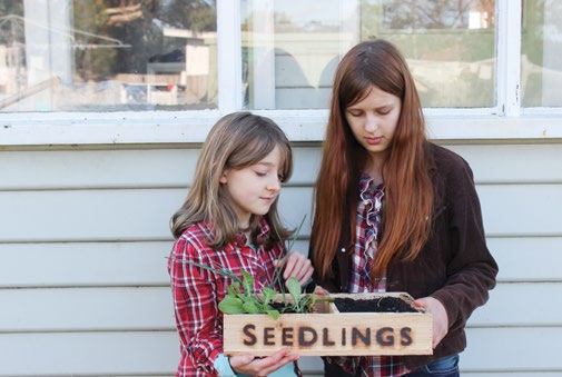 Introducing children to permaculture