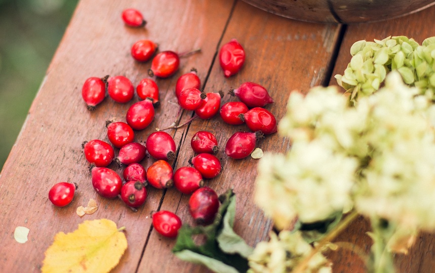 making your own Rosehip syrup