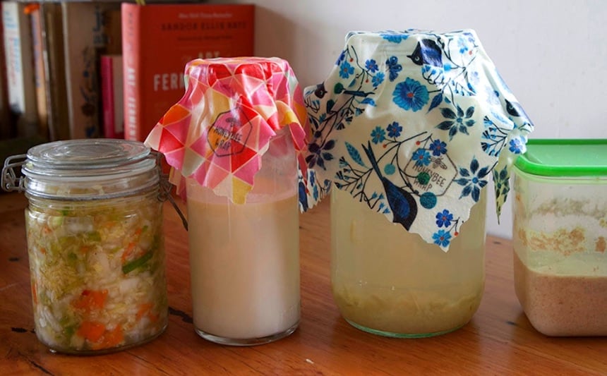How to Make Milk Kefir (Tips + Troubleshooting) - Champagne Tastes®