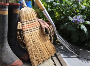 10 Tips to Spring Clean Your Garden for Summer
