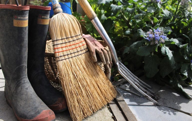 10 Tips to Spring Clean Your Garden for Summer