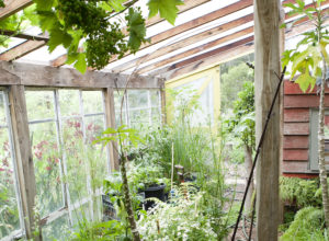 Build an attached greenhouse