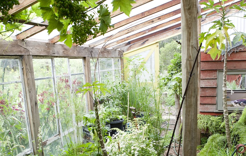 Build an attached greenhouse