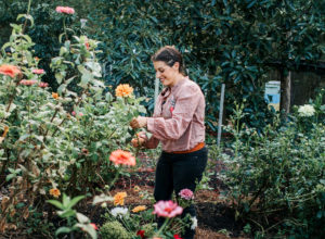 Tara harvesting slow flowers Bonnie Sevi from Lily at Dawn