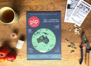 Issue 16 Pip Magazine
