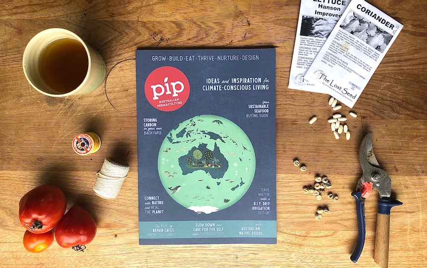 Issue 16 Pip Magazine