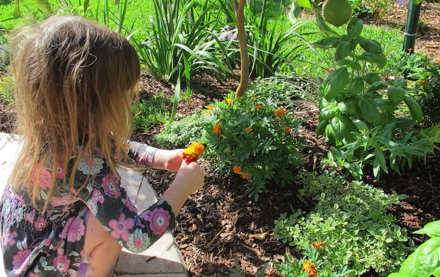 Creating a sensory and edible family garden for kids