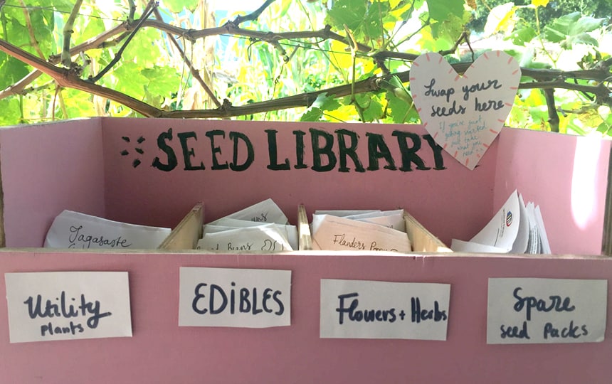 a seed library set up in response to the coronavirus global crisis