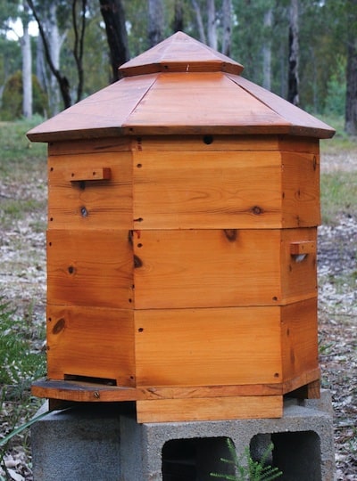 The Hex Hive - types of beehives