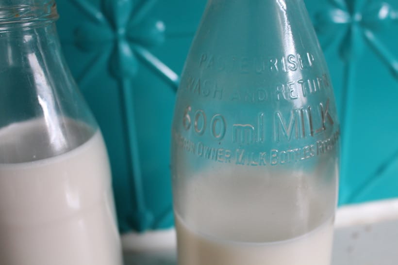 plant based milk