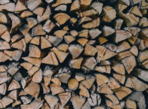 Urban Firewood Forager’s Guide andrew-ridley-via-unsplash