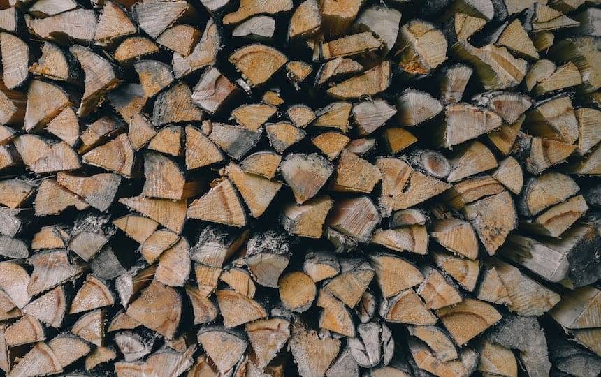 Urban Firewood Forager’s Guide andrew-ridley-via-unsplash