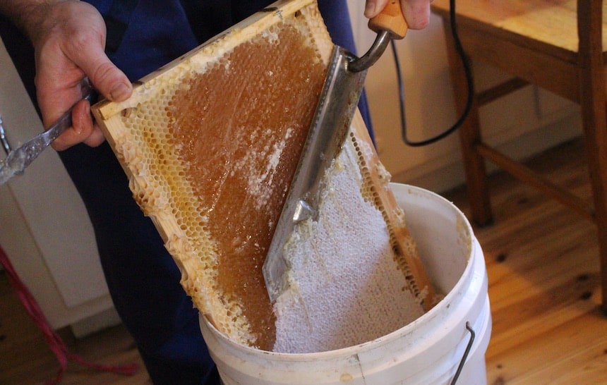 DIY Slow Honey Harvest 2