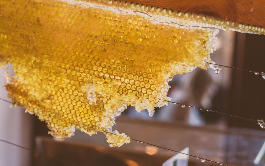 DIY Slow Honey Harvester - Jez Timms via unsplash