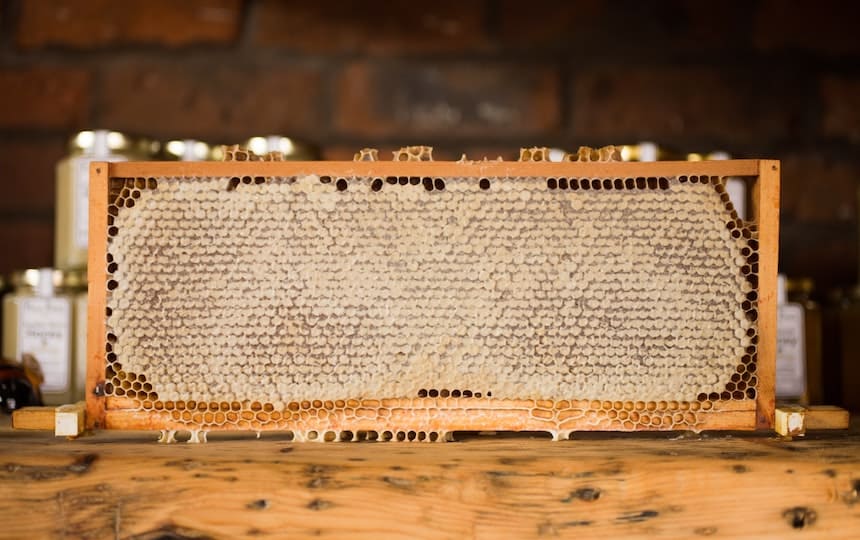 DIY Slow Honey Harvester by Jonathan Farber via Unsplash