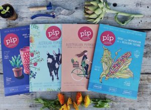 Pip crowdfunding campaign