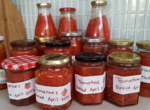 Easy Tomato Passata Recipe