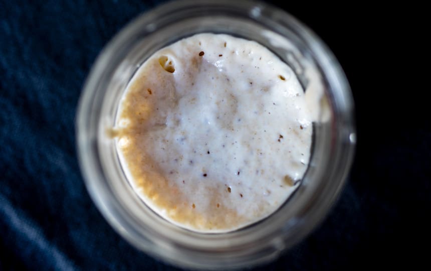 How to take care of your sourdough starter when you go on holidays