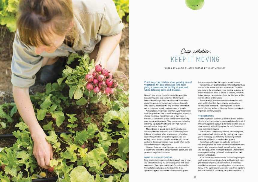 issue 19 pip magazine crop rotation
