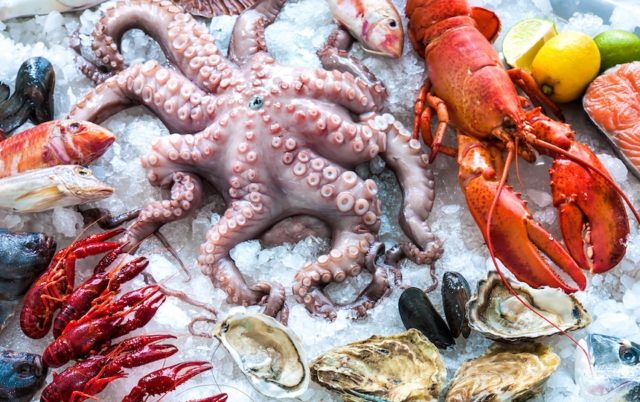 Sustainable Seafood: 4 Ways To Choose Ethical Seafood | Pip Magazine