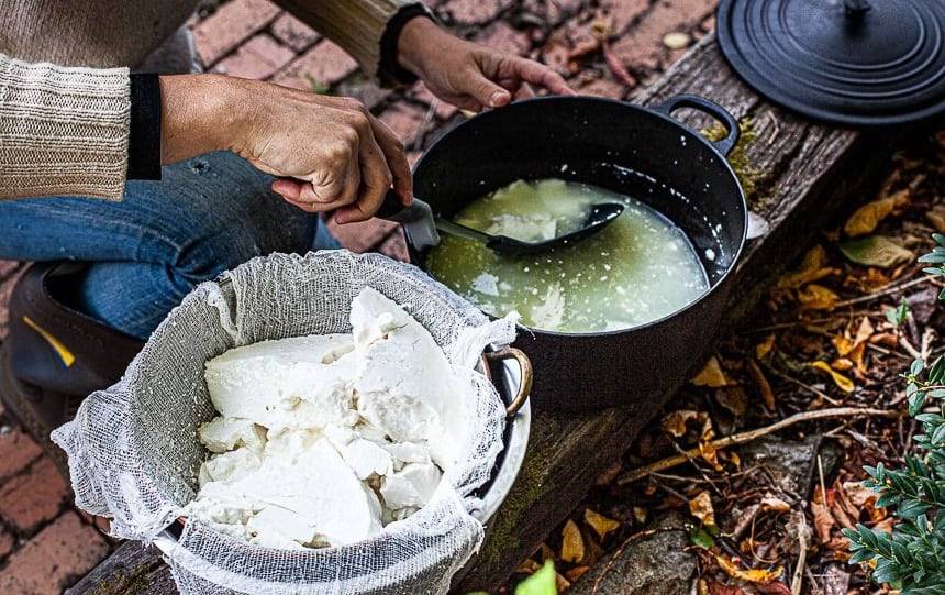 How To Make Goat Cheese