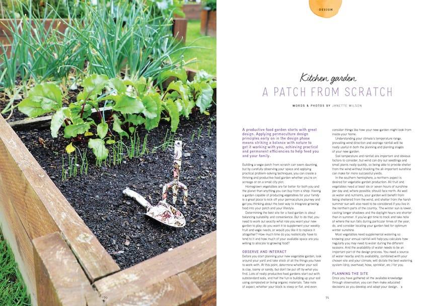 kitchen garden issue 20 pip magazine