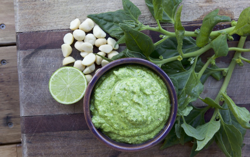 Warrigal Greens & Macadamia Pesto Recipe