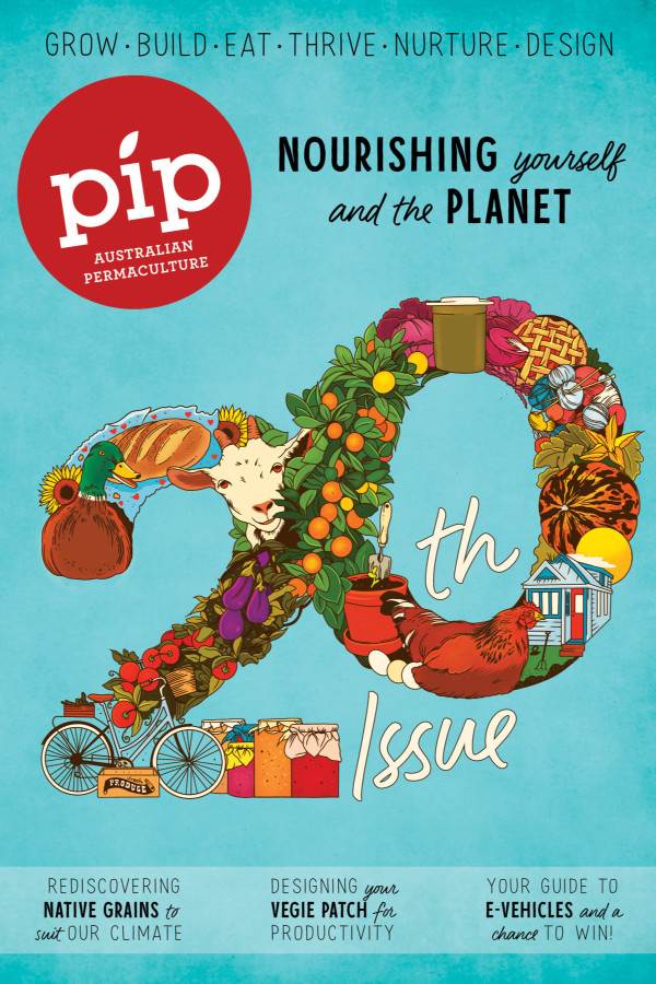 pip cover issue 20