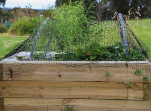 How-to-make-a-wicking-bed