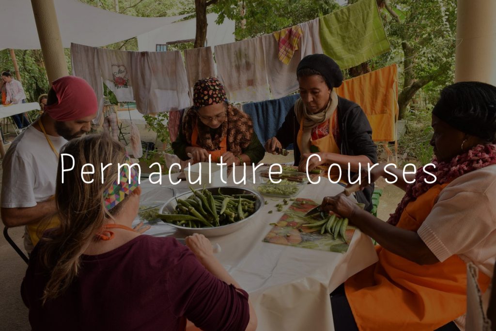 Permaculture Courses
