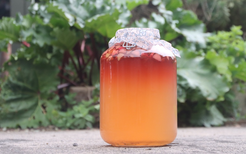 Fermented Low-Alcohol Drinks Recipes