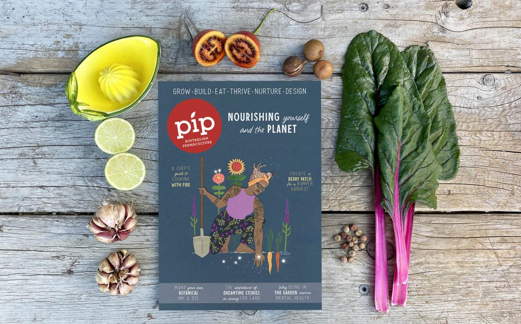 Pip Magazine Issue 24 Out now