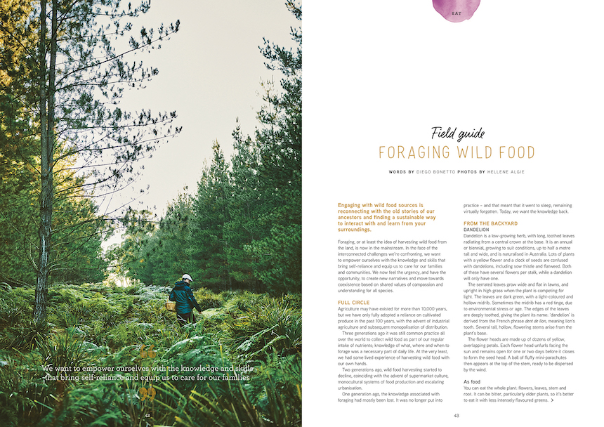 foraging for wild foods