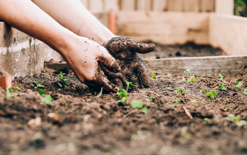 Getting your hands in the soil