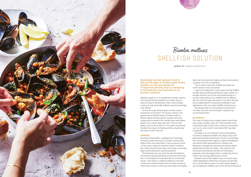 issue 26 pip magazine sustainable seafood
