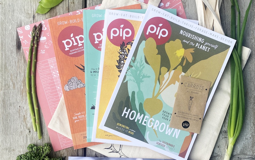 Pip Magazine four issues