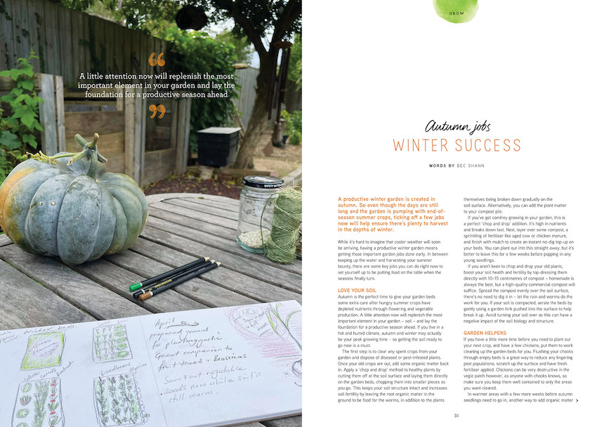A productive winter garden is created in autumn. We reveal what jobs you need to do to keep your vegie patch productive through the colder months.