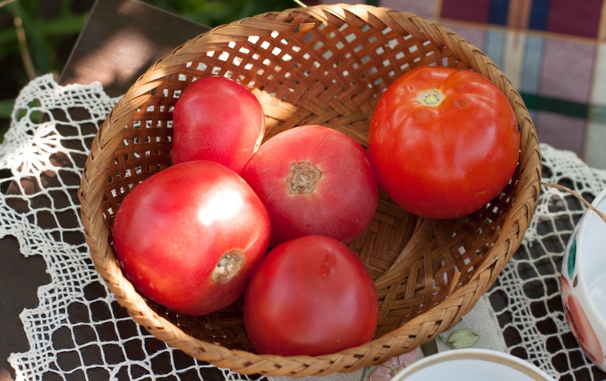 bowl of homegrown tomatoes