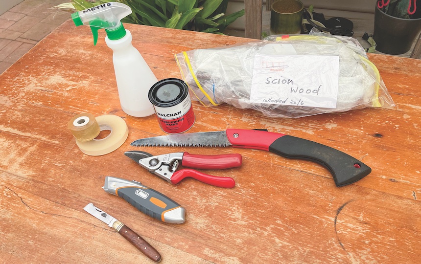 Everything you need to start grafting trees