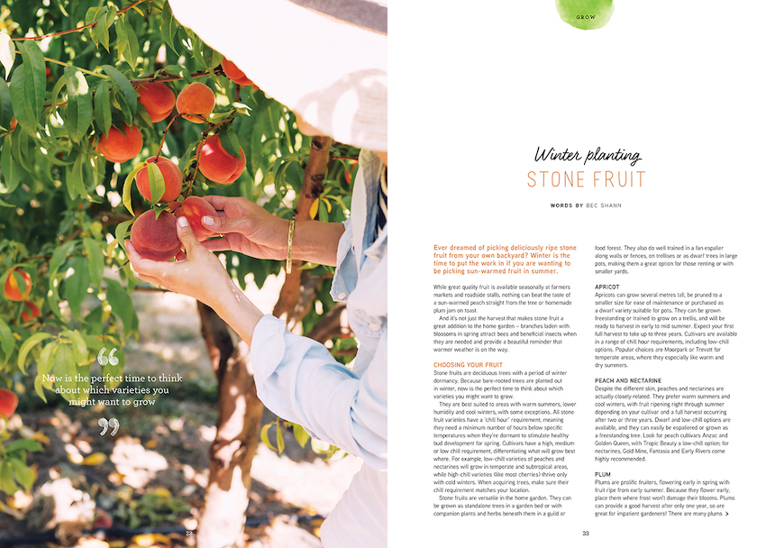Ever dreamed of picking deliciously ripe stone fruit from your own backyard? Winter is the time to put the work in if you are wanting to be picking sun-warmed fruit in summer. We reveal what trees to plant and how to maintain them.