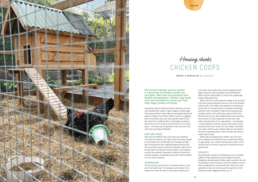 The arrival of spring’s warmer weather
is a great time to introduce chooks into
your patch. More than just protection from weather and predators, a chicken coop needs to be well considered to ensure your flock stays happy, healthy and laying.