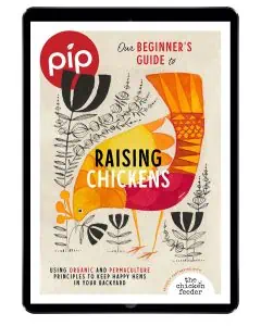 Pip Raising Chickens eBook