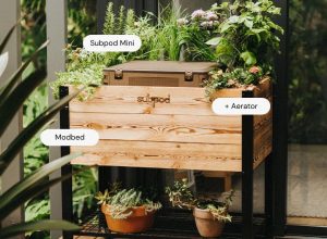 Subpod Modbed Bundle
valued at over $800

Perfect for small spaces, this timber planter doubles as a compost bin and worm farm. Not only will this Modbed bundle help you divert waste, grow food and do something great for the planet, it makes having a composting worm farm really easy.
