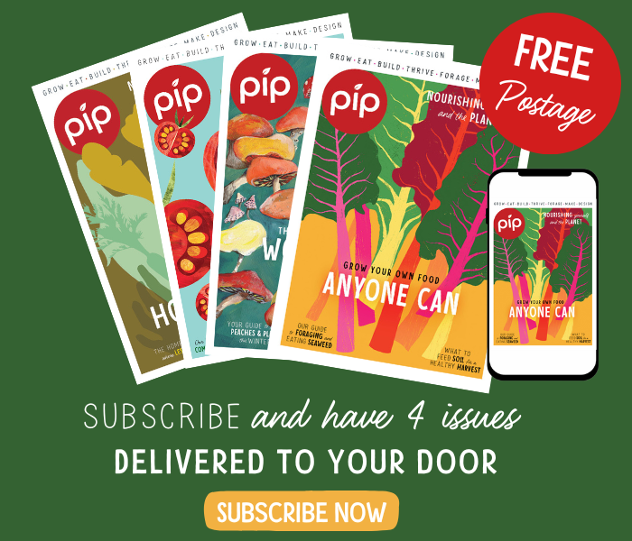 Subscribe to Pip Magazine