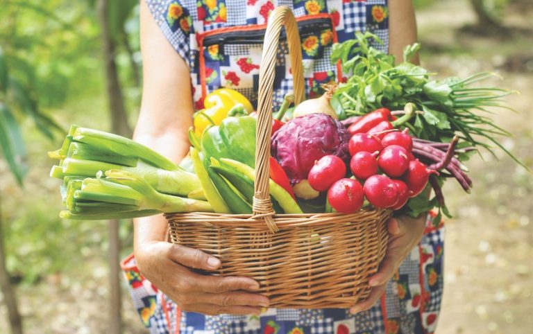 We show you three ways to grow more food from your vegie patch. 