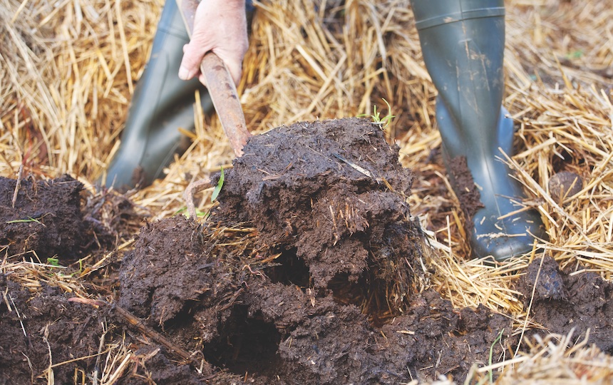 Healthy soil is the foundation every garden needs. These six superfoods will help improve your soil health.